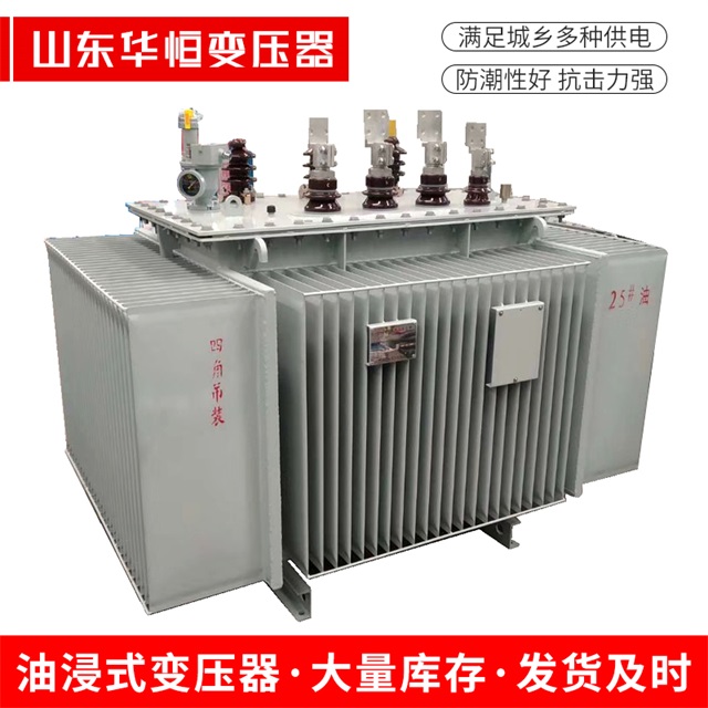 S13-10000/35乐清乐清乐清电力变压器厂家