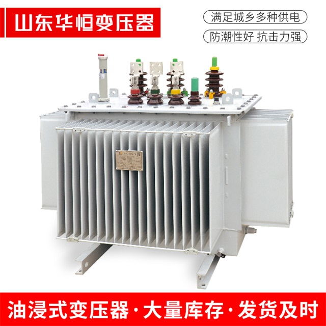 S13-10000/35乐清乐清乐清电力变压器